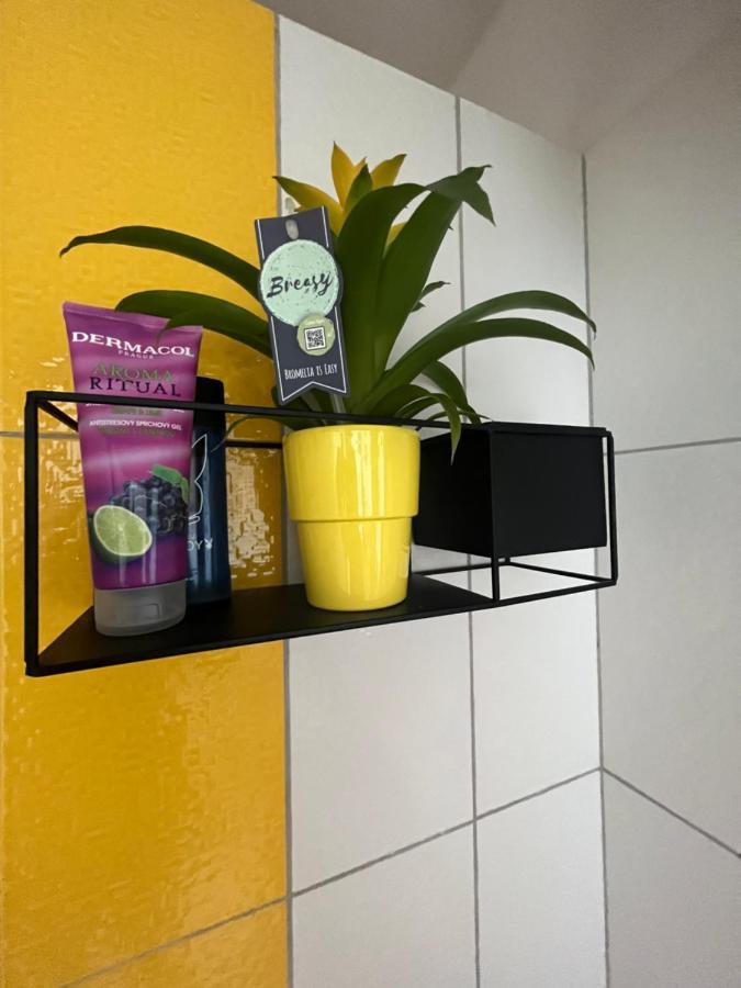 Apartmán Monstera I Kolín Exteriér fotografie
